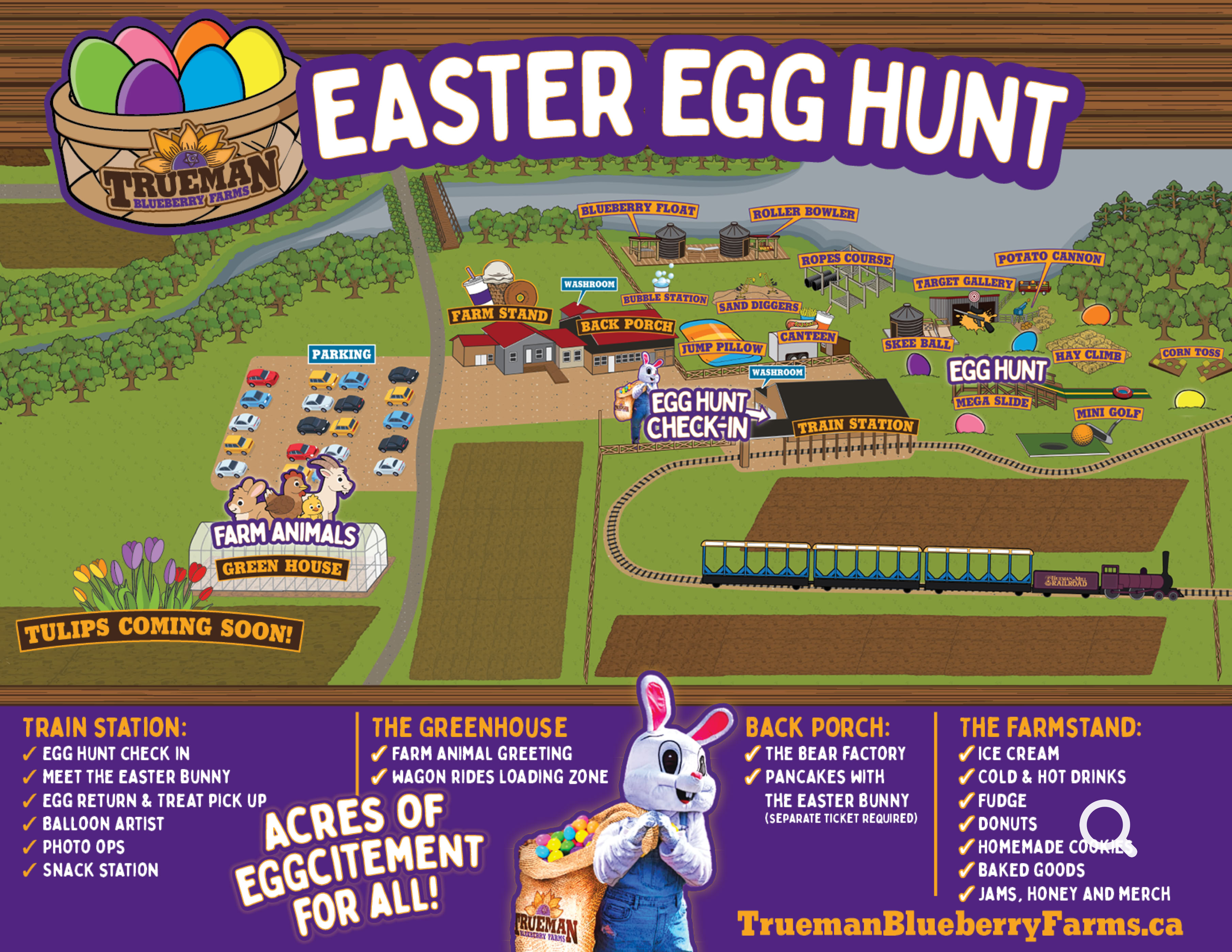 Easter Egg Hunt Map at Trueman Farms